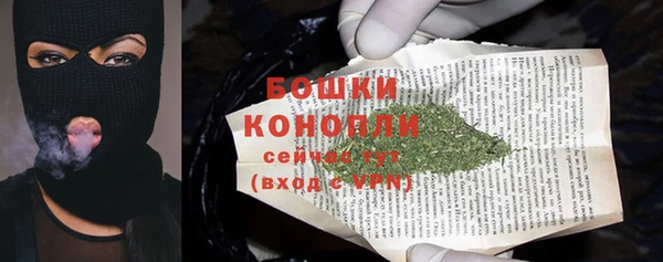 молекула духа Новокубанск