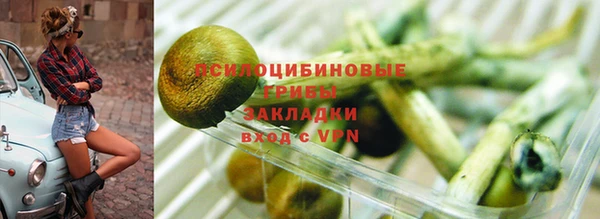 прущая мука Дмитров