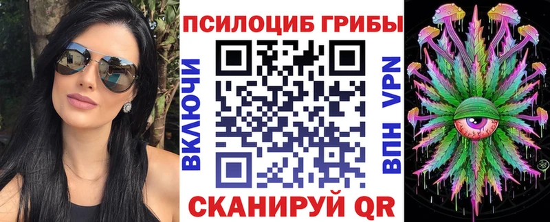 Псилоцибиновые грибы Magic Shrooms  Купить  Грязи 